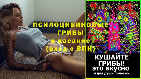 МДПВ Снежногорск