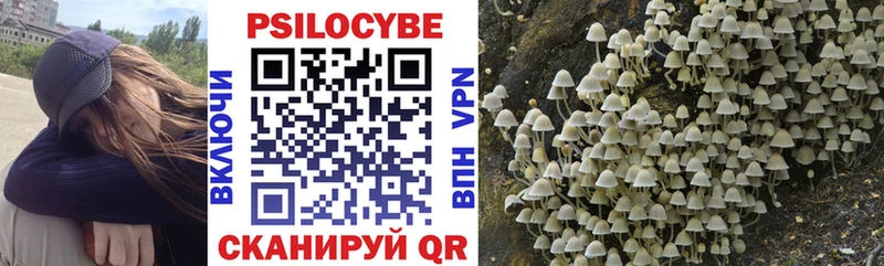 kraken маркетплейс  Кимры  Псилоцибиновые грибы MAGIC MUSHROOMS  дарнет шоп 